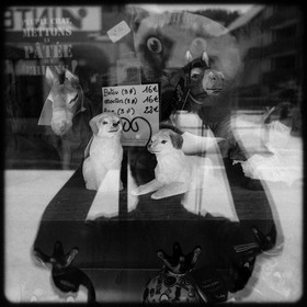 Une montagne de souvenirs