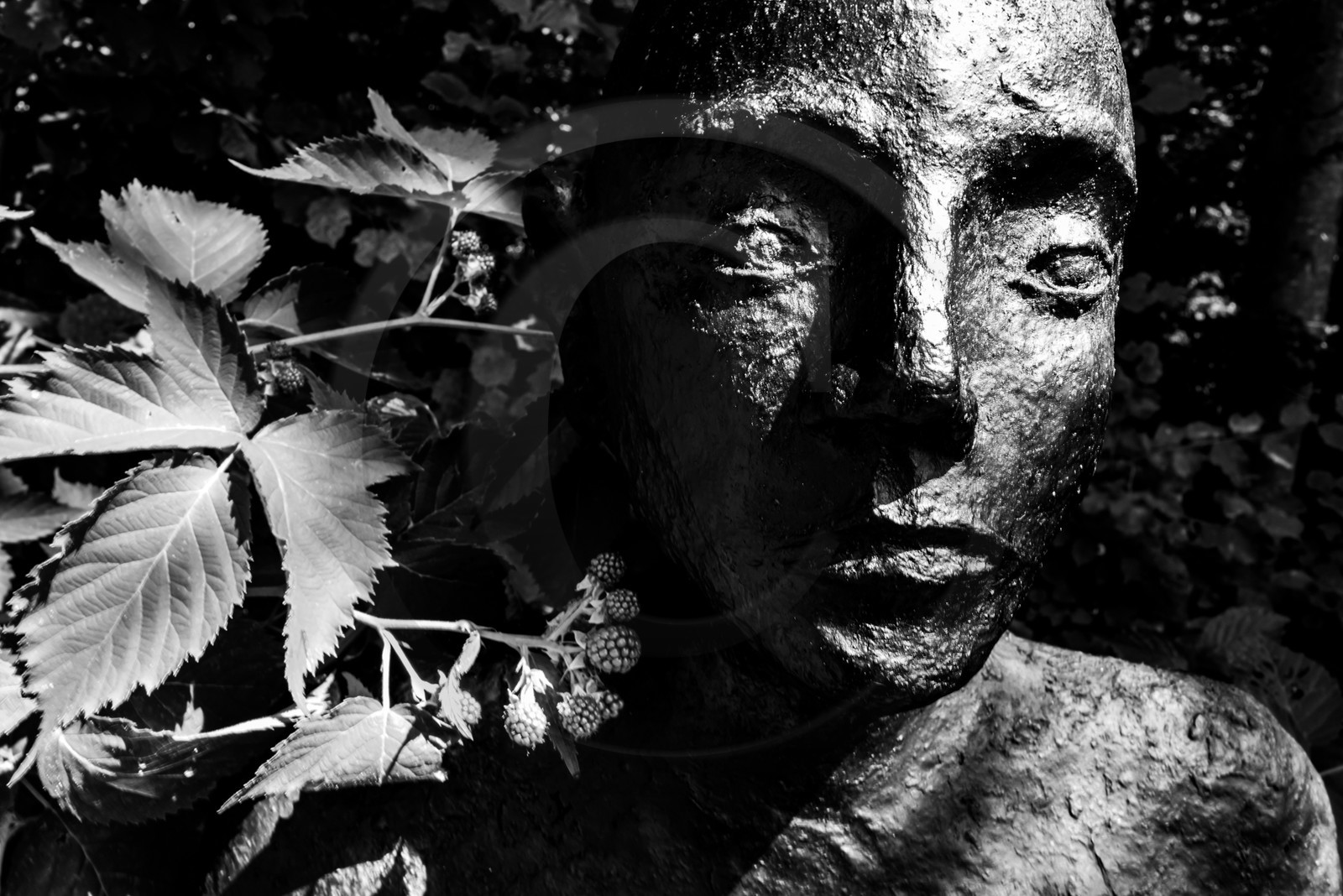 Exposition La forêt d'hommes, une création de Barbara Fougnon, artiste plasticienne