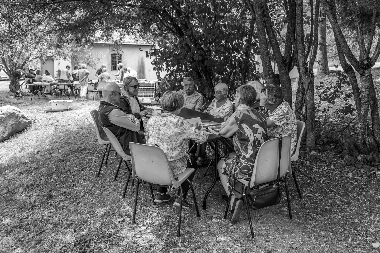 Le Noyer, village champsaurin