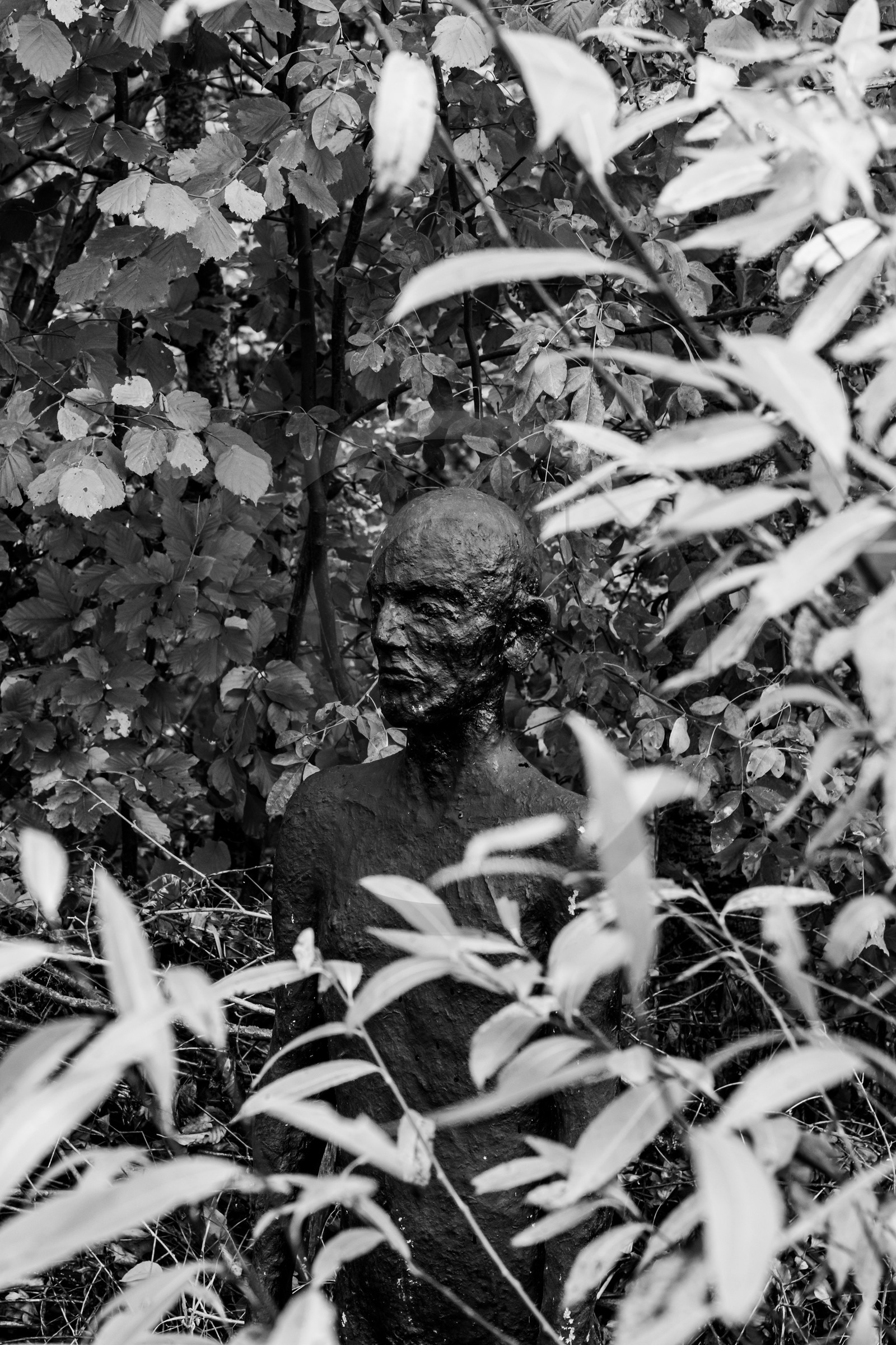 Exposition La forêt d'hommes, une création de Barbara Fougnon, artiste plasticienne