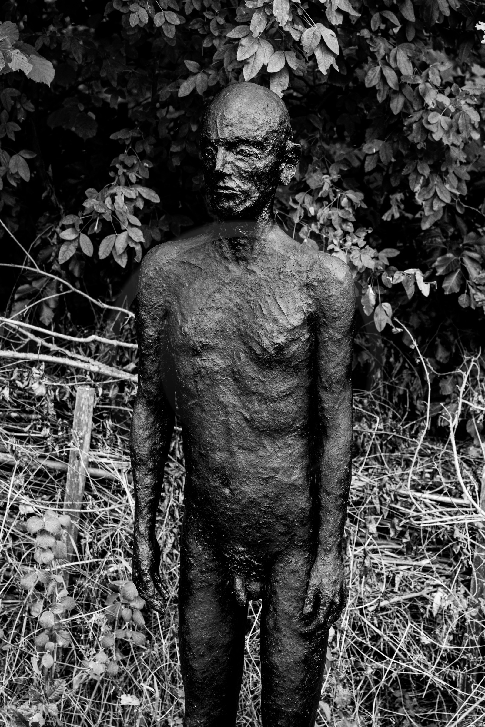 Exposition La forêt d'hommes, une création de Barbara Fougnon, artiste plasticienne