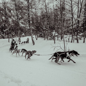 La Valgaude Traineau 2015
