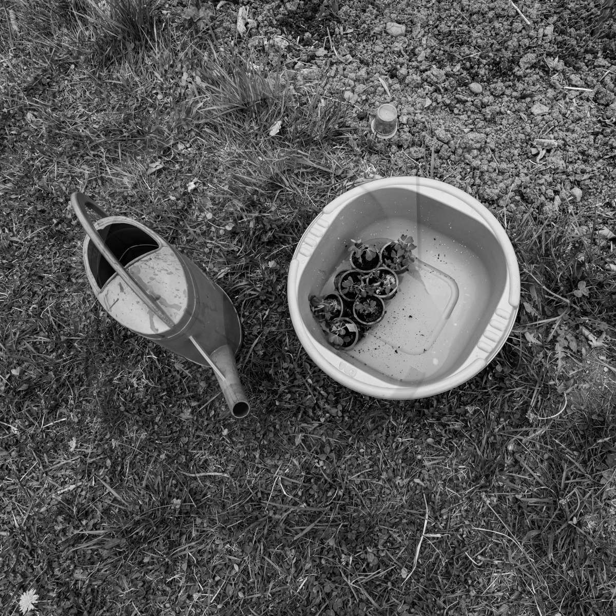 20 avril 2022 : des contes, des pommes de terre et un petit café