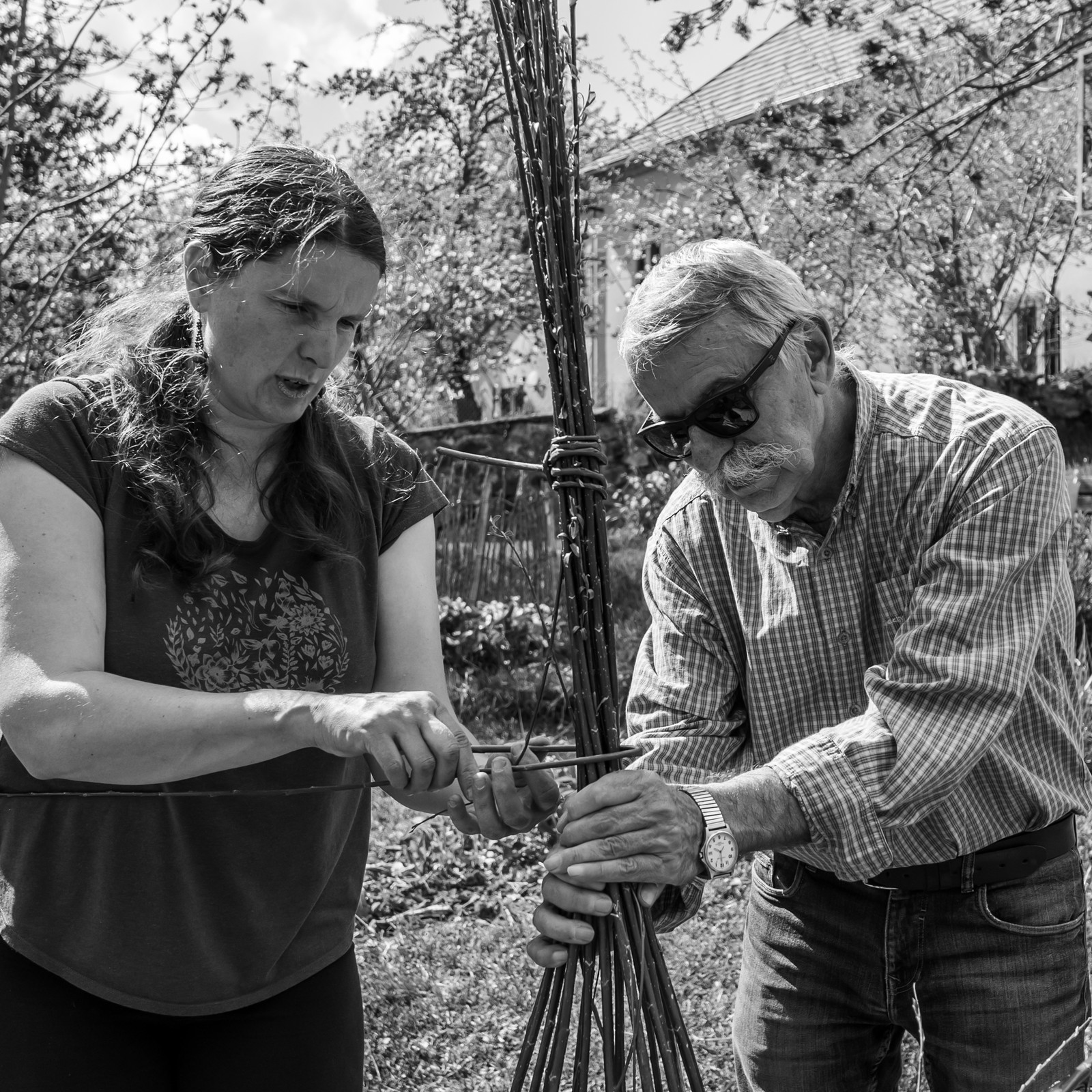 30 avril 2025 : Un oiseau en osier