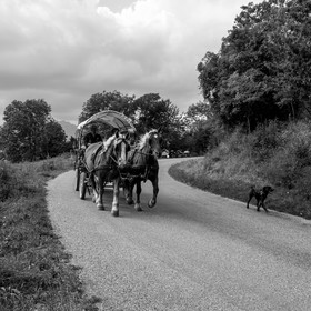 Promenade en calèche et contes