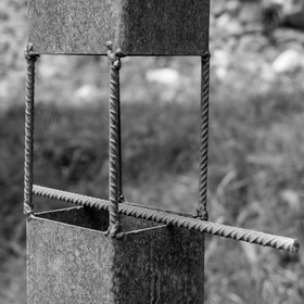 Une après-midi au jardin