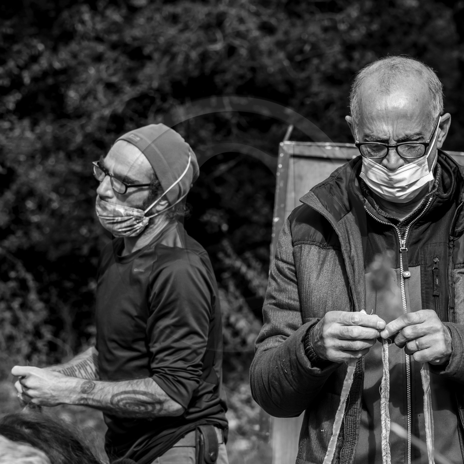 Fabrication de tournesols