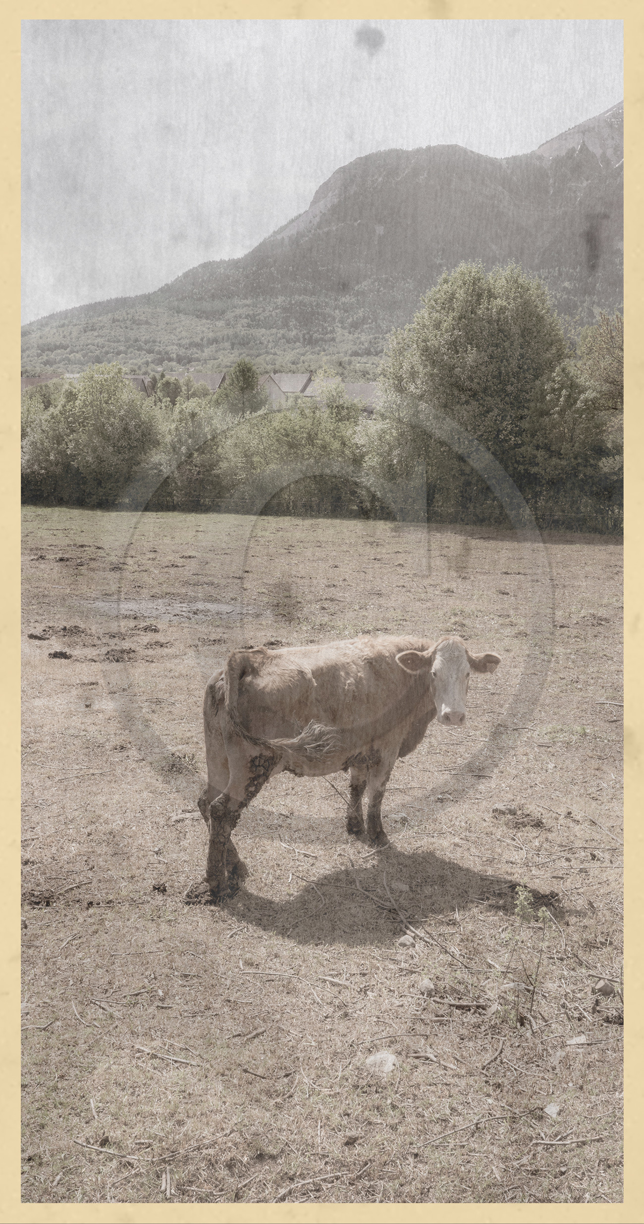 Le kilomètre dérogatoire