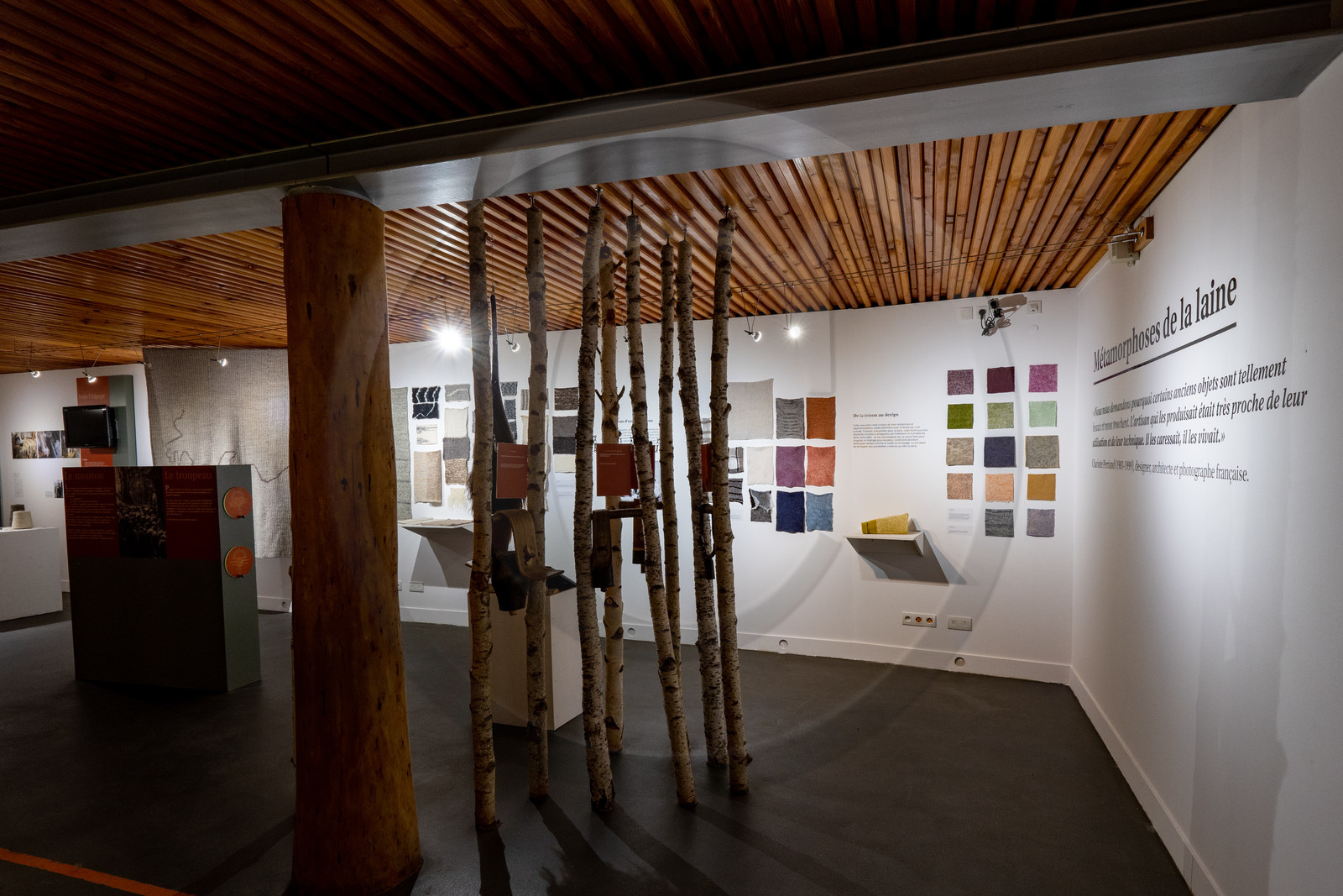 Expositions à la maison du Berger - Champoléon