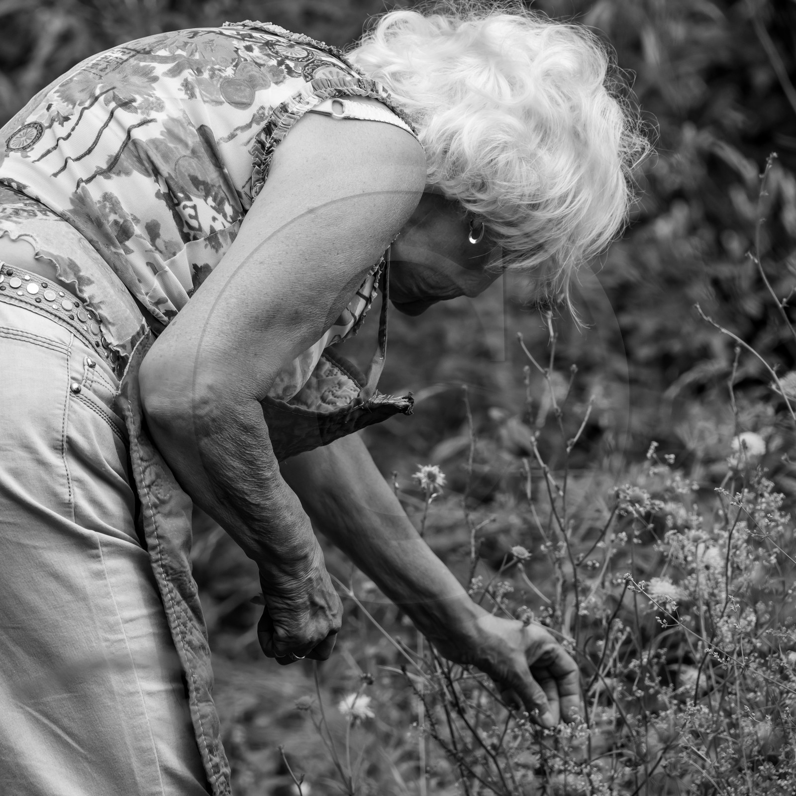 28 juin 2021 : Journée des aidants à l'Ouort.