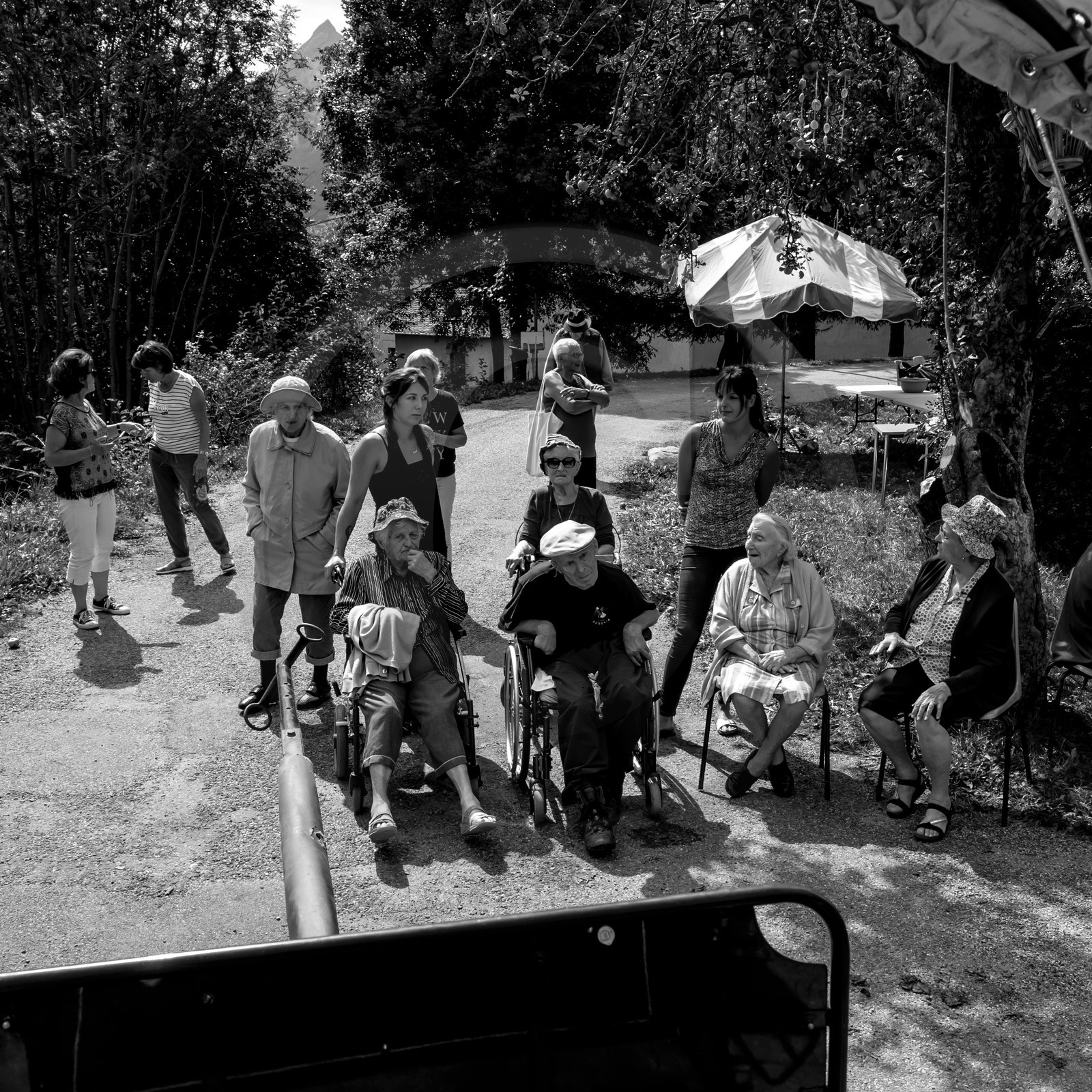 Promenade en calèche et contes