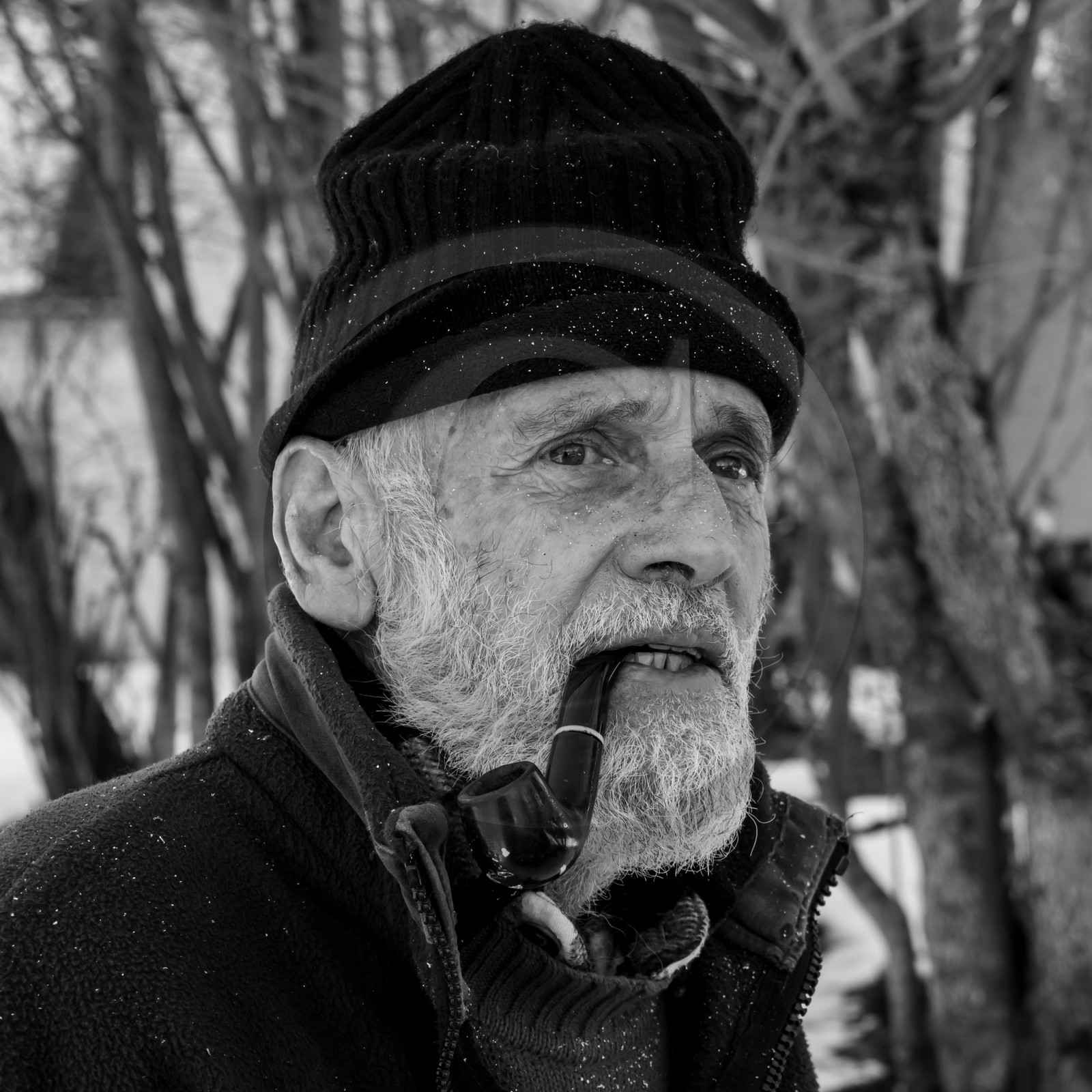 06 février 2019 : la pose des nichoirs