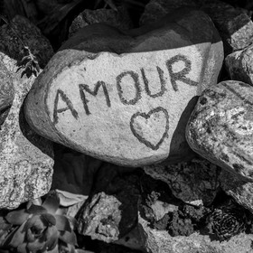 30 avril 2025 : Un oiseau en osier