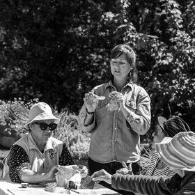 16 mai 2025 : Journée des aidants