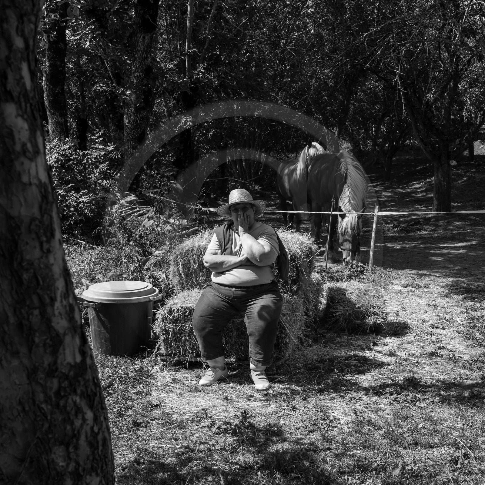 04 septembre 2019 : Visite au jardin des Hautes Terres