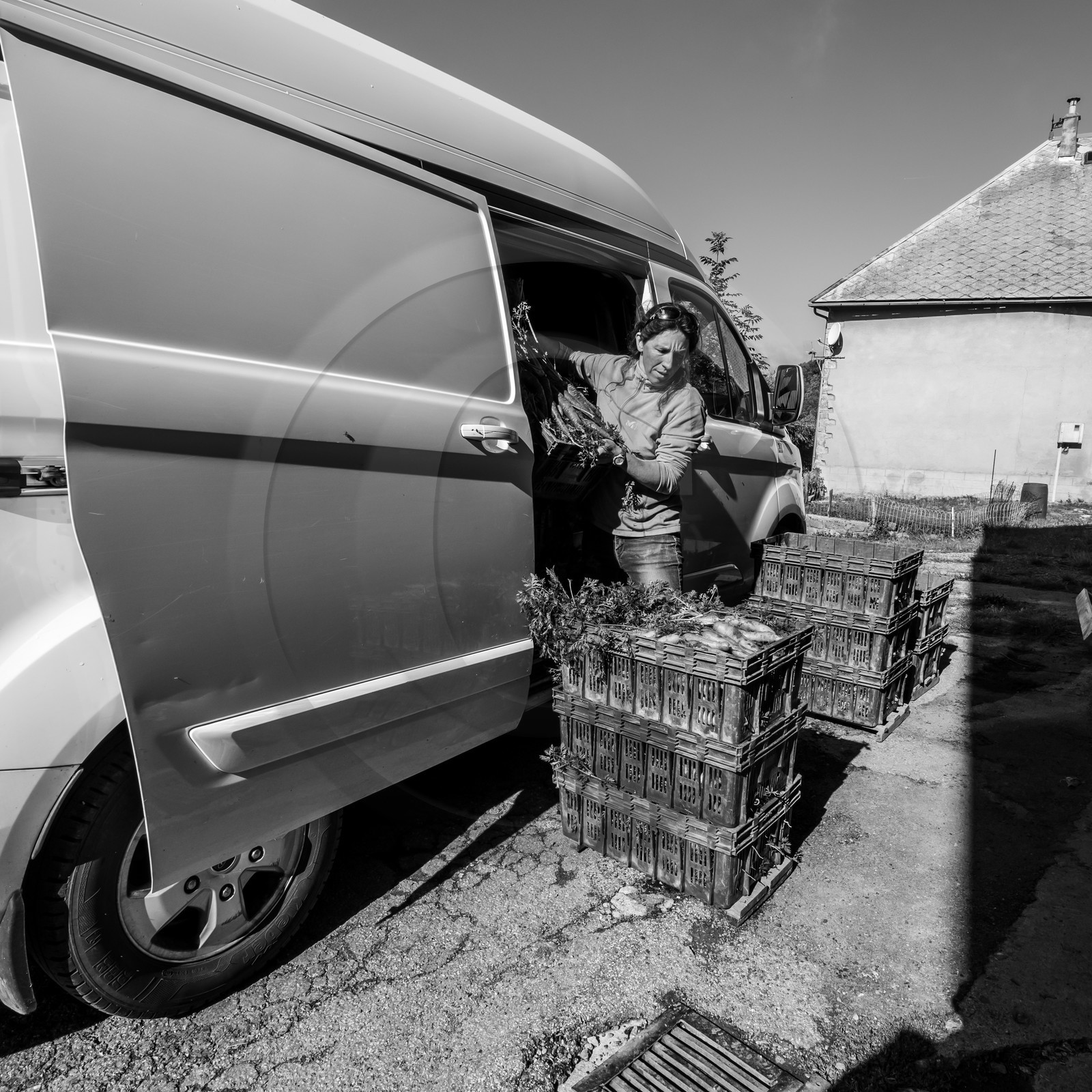 Maraichage biologique dans le Champsaur
