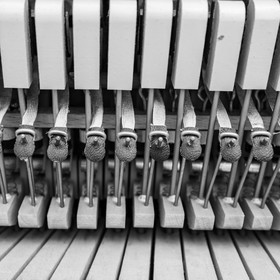 Animation musicale avec Philippe Séranne