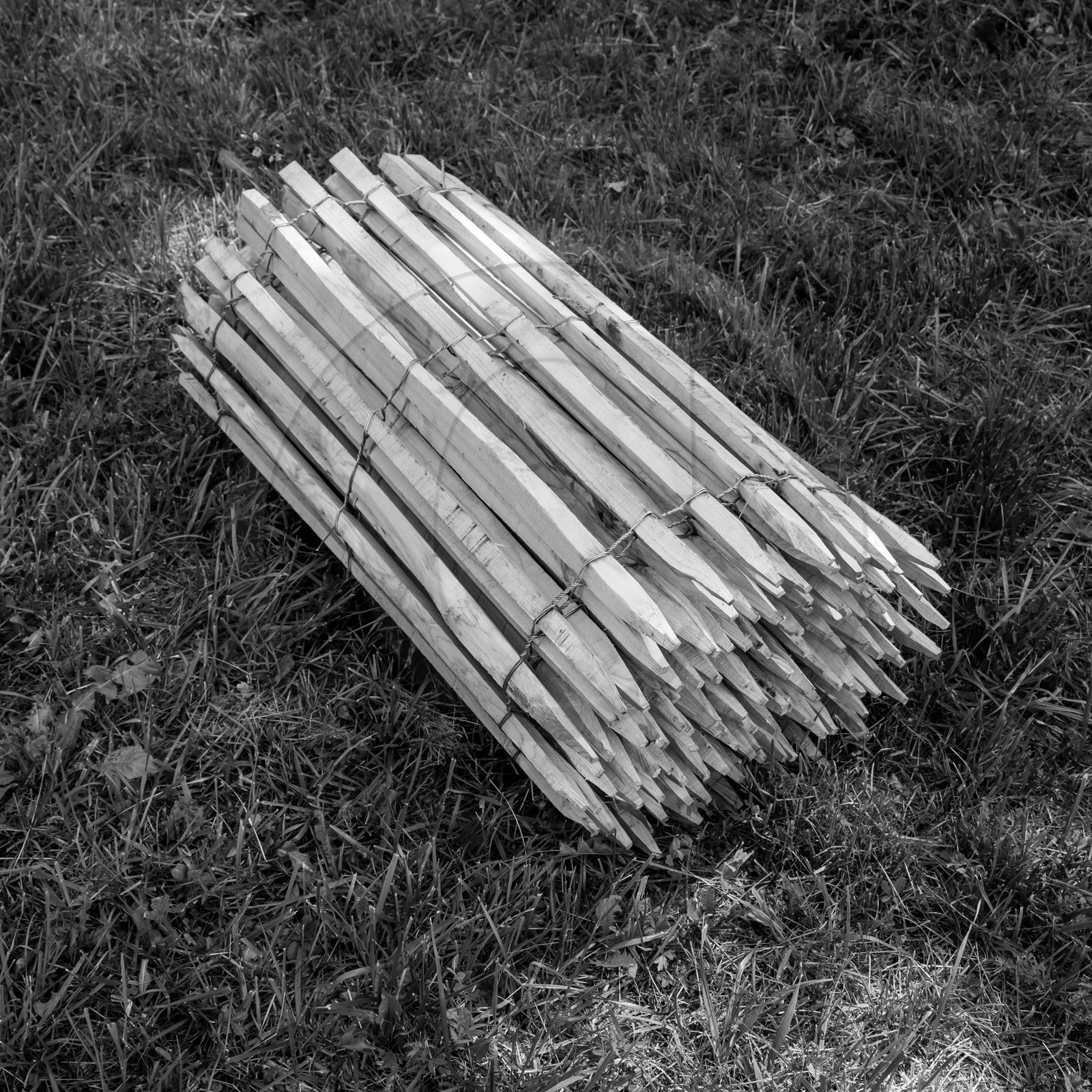 14 juin 2017 - Pose de la clôture