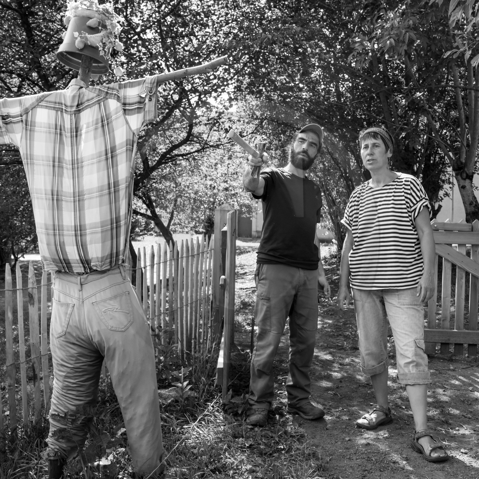 13 septembre 2017 - Chemins - Graines