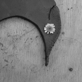 28 juin 2021 : Journée des aidants à l'Ouort.