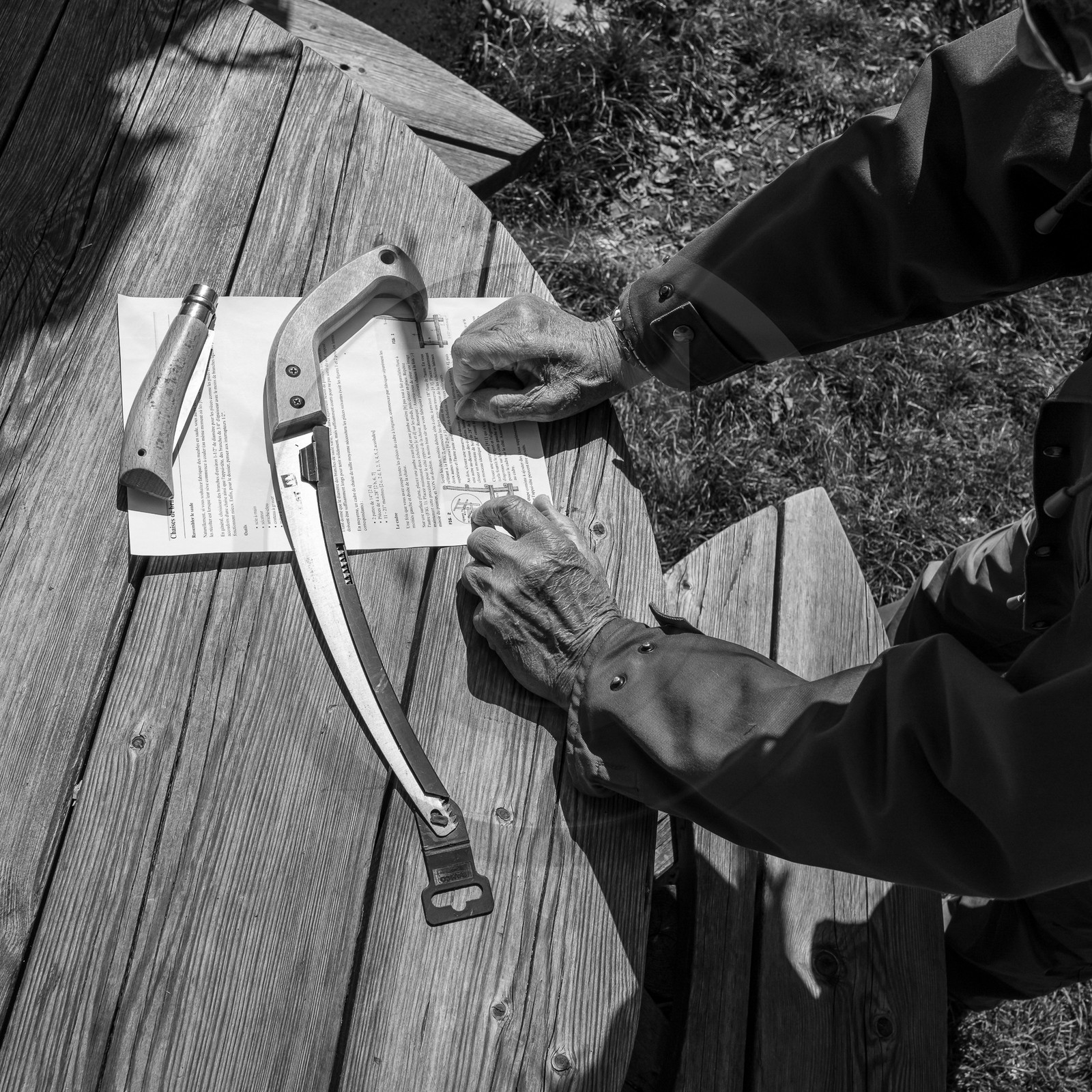 10 avril 2024 : Osier, laine et taille