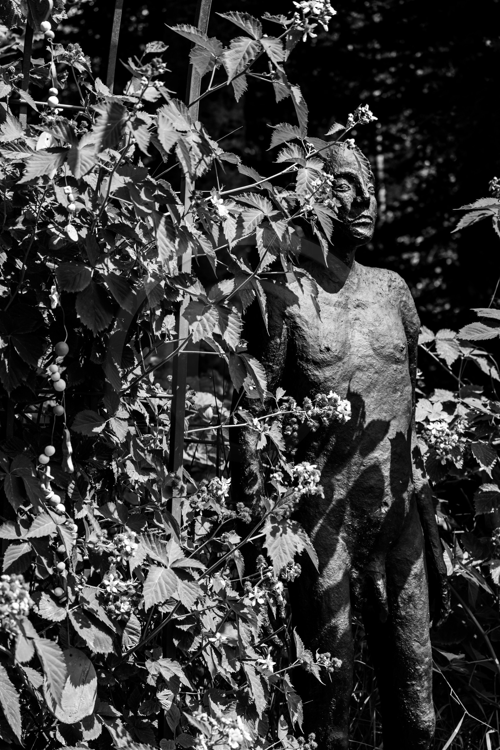 Exposition La forêt d'hommes, une création de Barbara Fougnon, artiste plasticienne