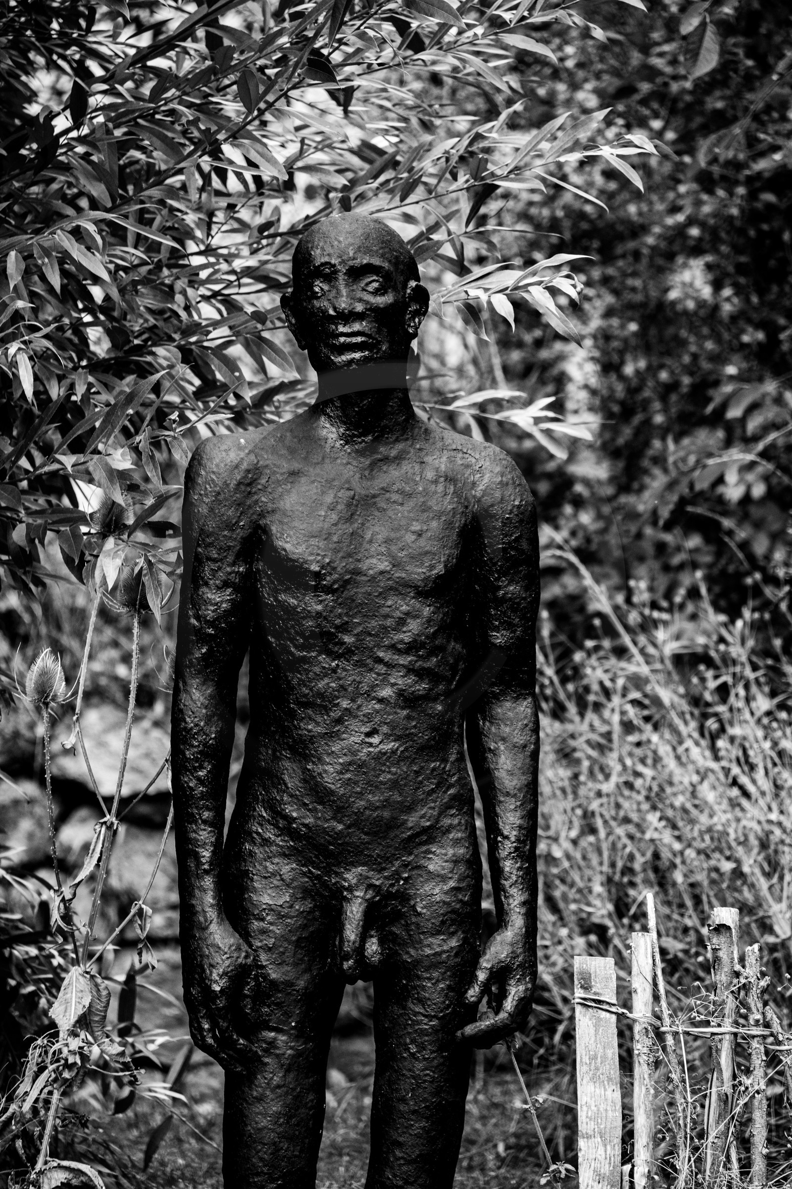 Exposition La forêt d'hommes, une création de Barbara Fougnon, artiste plasticienne
