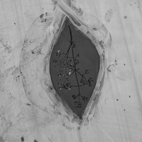 28 juin 2021 : Journée des aidants à l'Ouort.