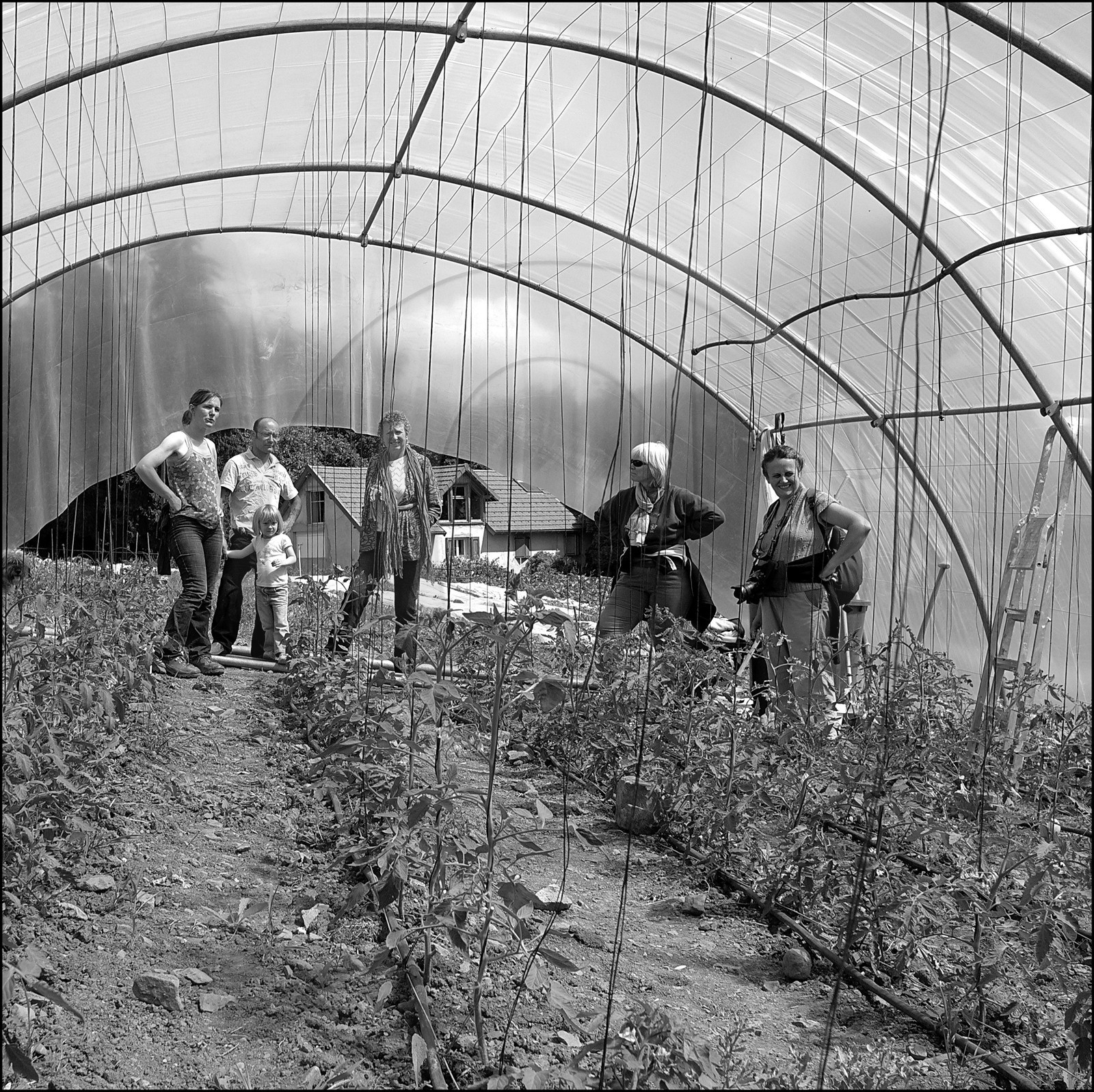 Visite d'une exploitation maraichère