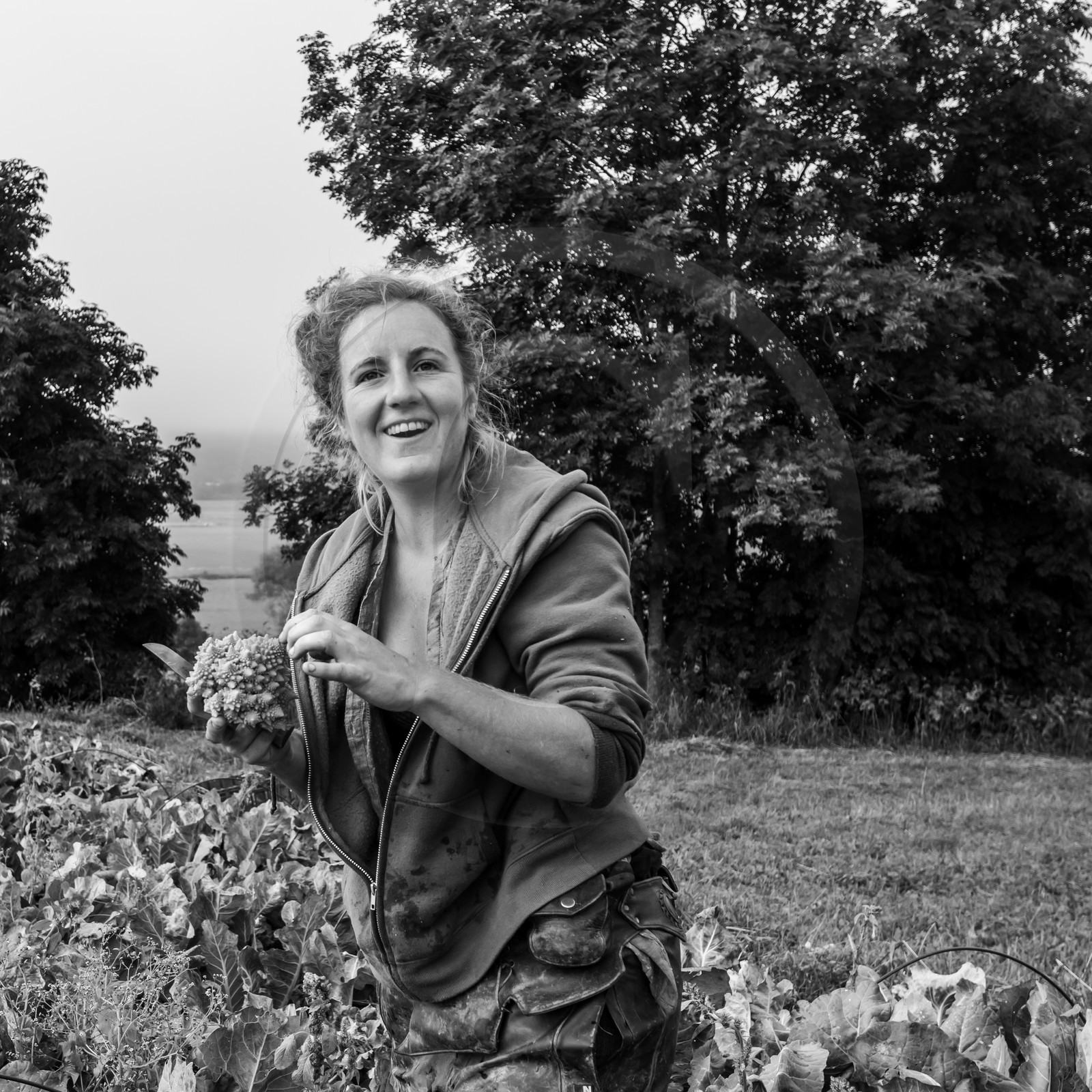 Maraichage biologique dans le Champsaur