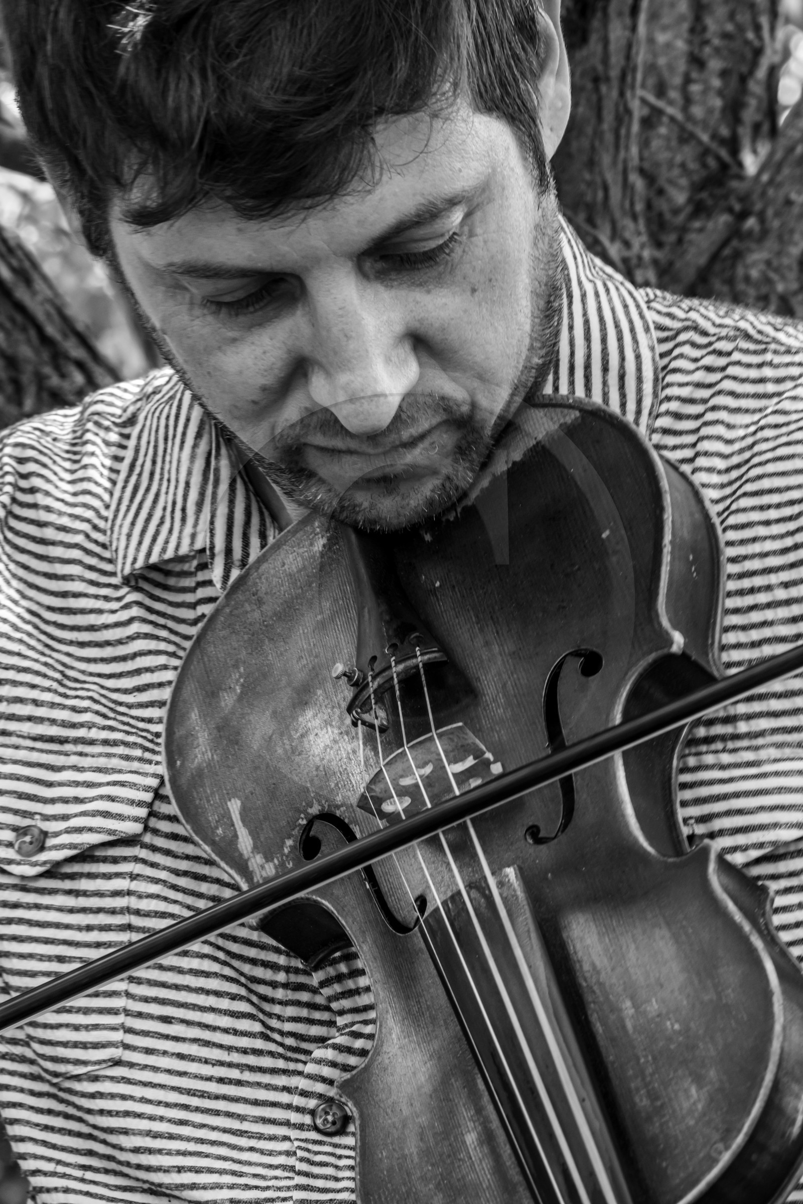 26 juin 2024 : Sieste Musicale avec Balthazar