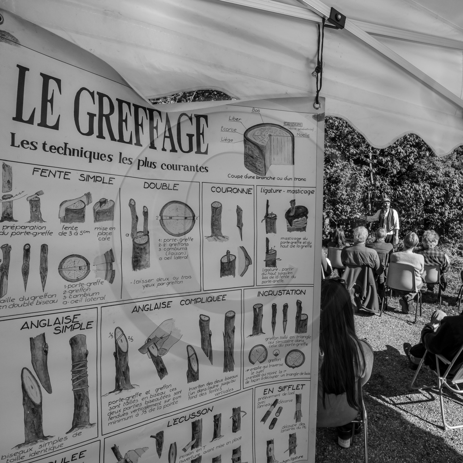 24 octobre 2021 : Fais ta soupe et ramène ta pomme