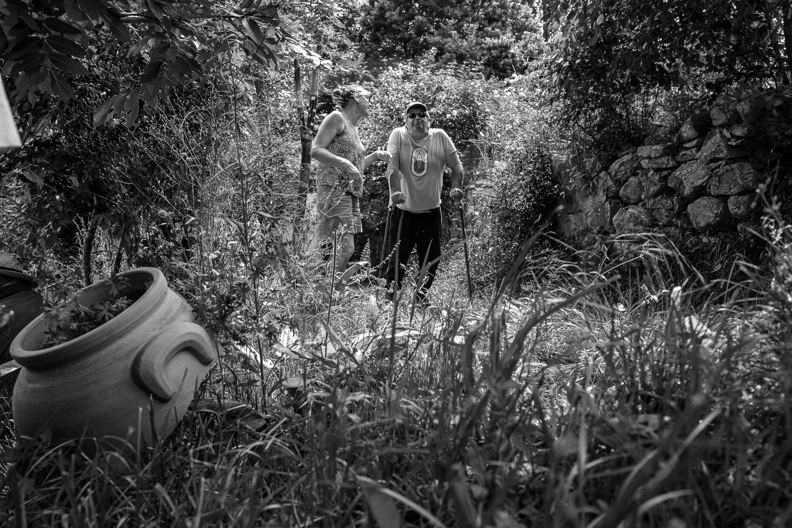 21 juin 2023 : Découverte botanique