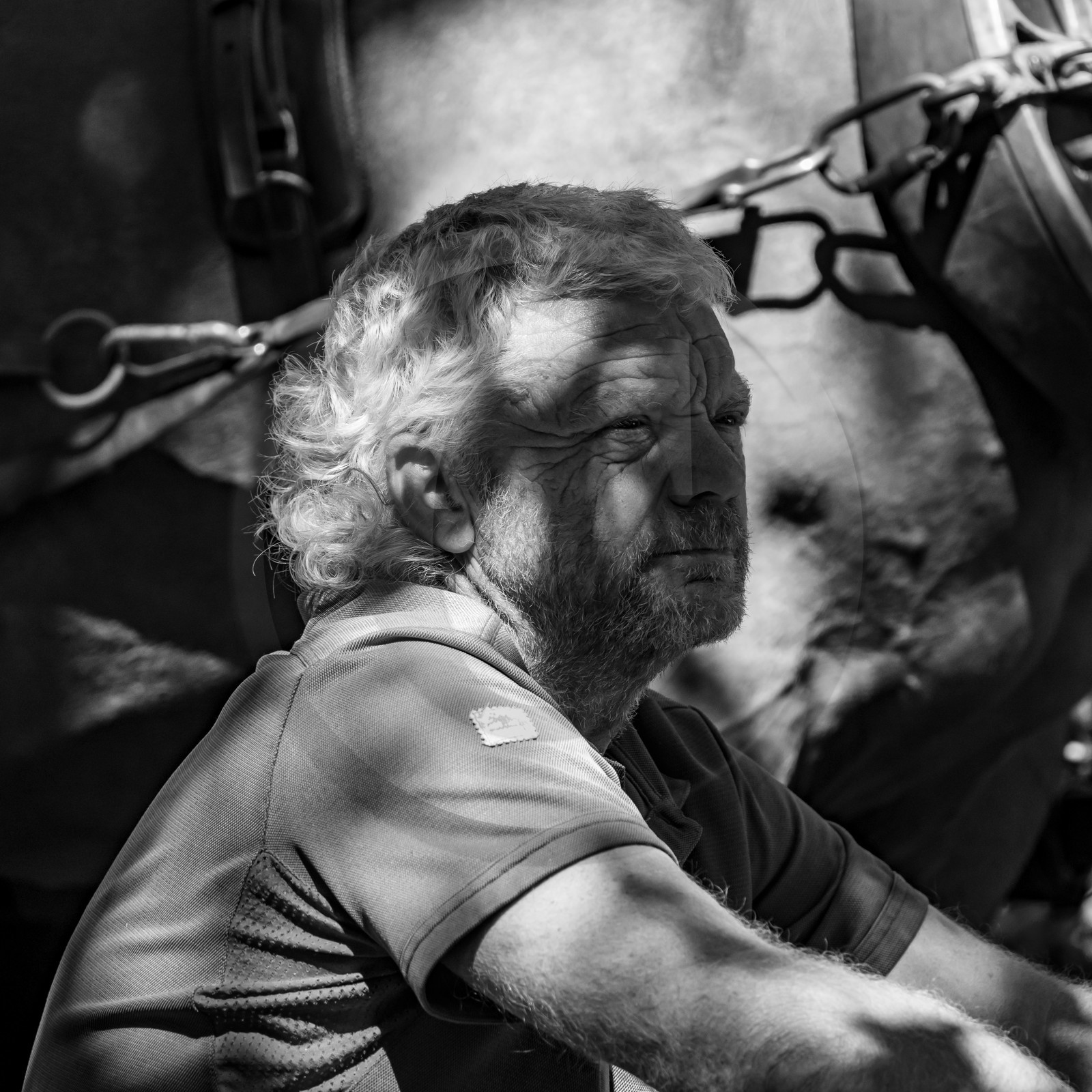 01 septembre 2021 : Promenade en cariole et contes