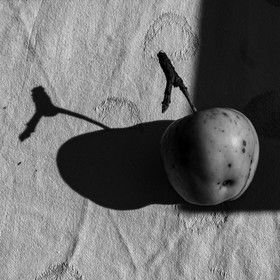 24 octobre 2021 : Fais ta soupe et ramène ta pomme