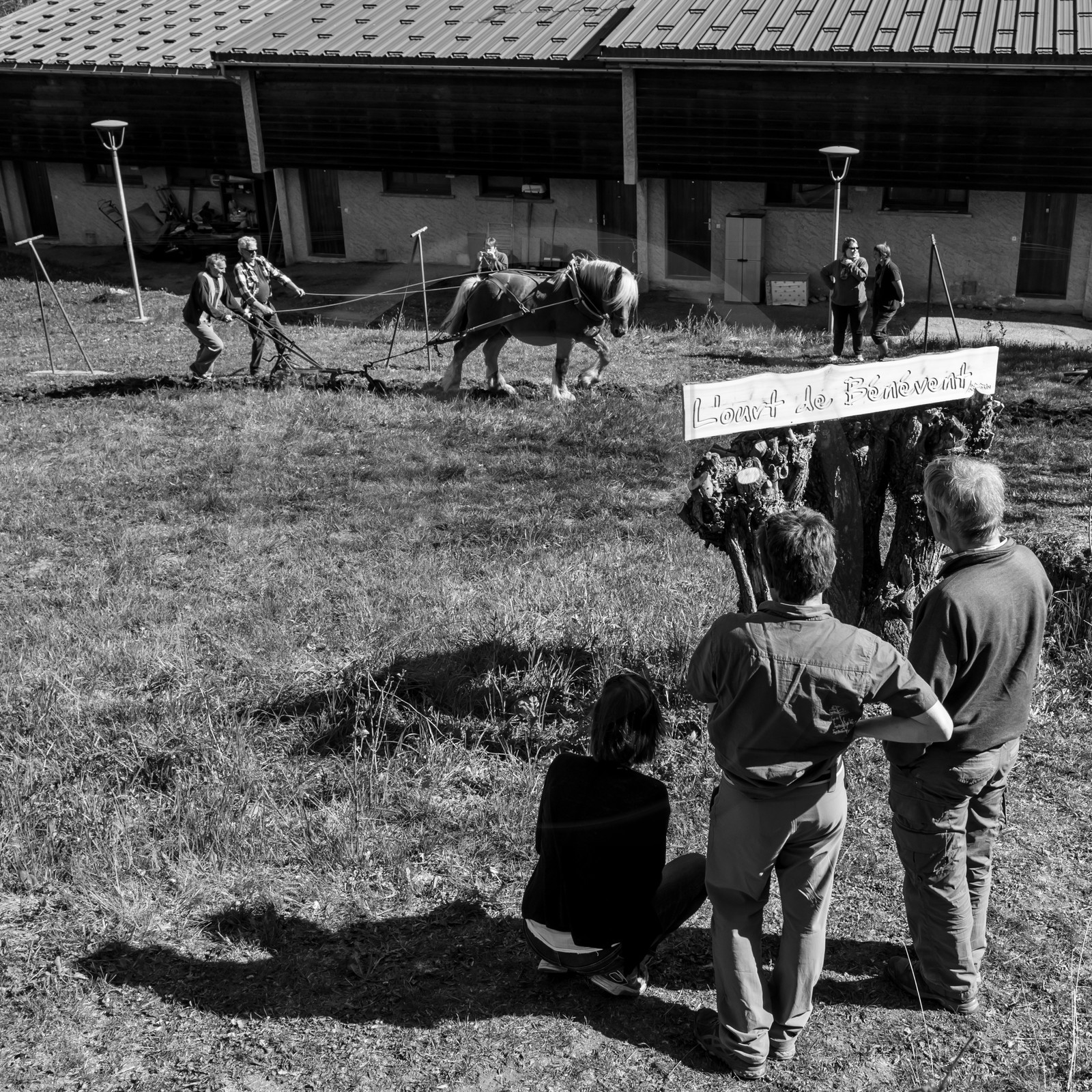 Labour avec un cheval - 17 04 17