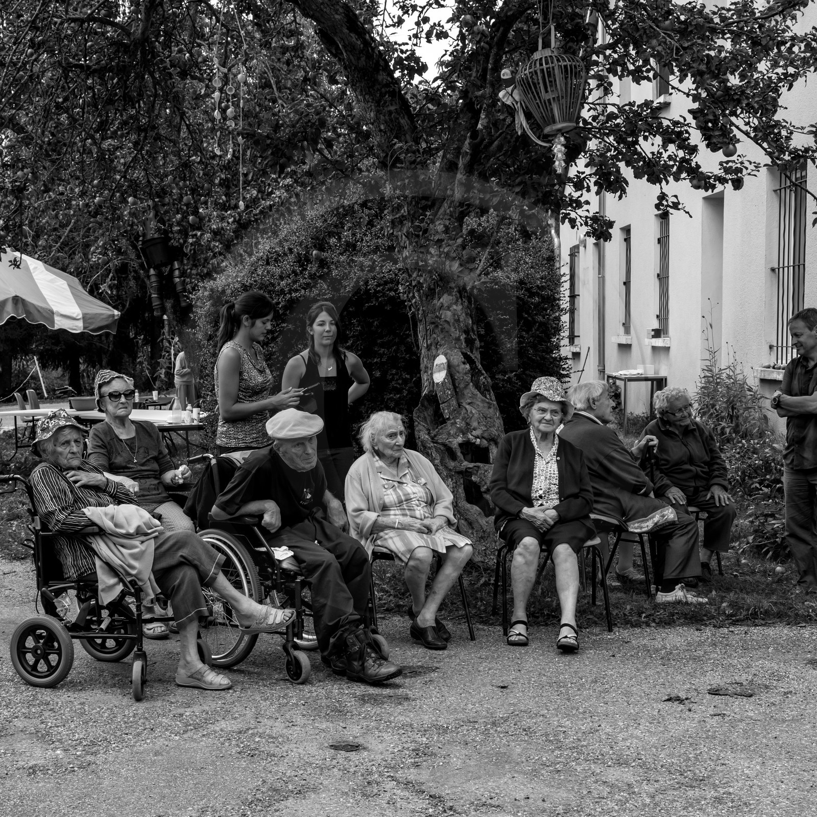 Promenade en calèche et contes