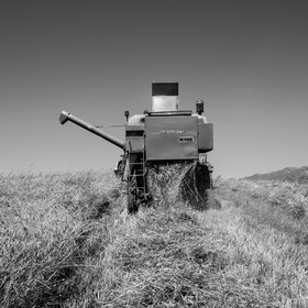 Les moissons dans le Champsaur