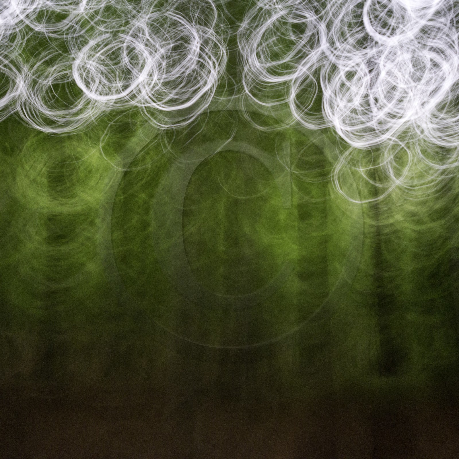 Le Pays des Arbres Flous