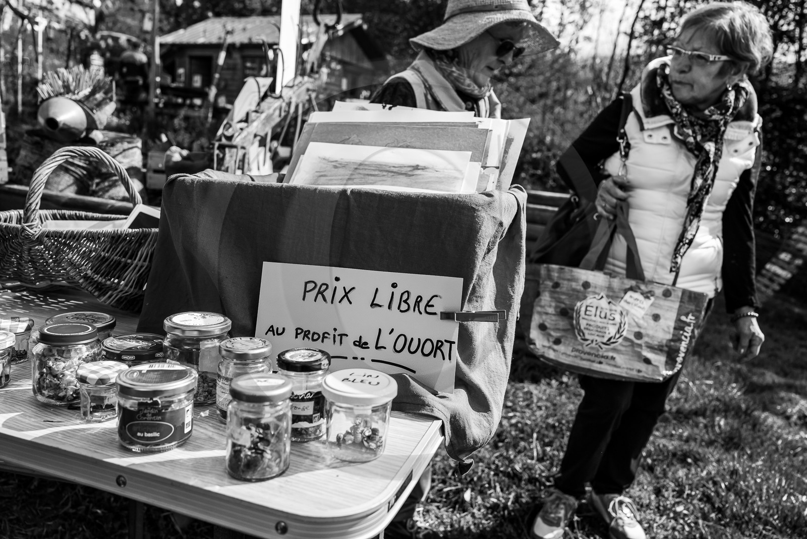 14 mai 2023 : Vide-Jardin