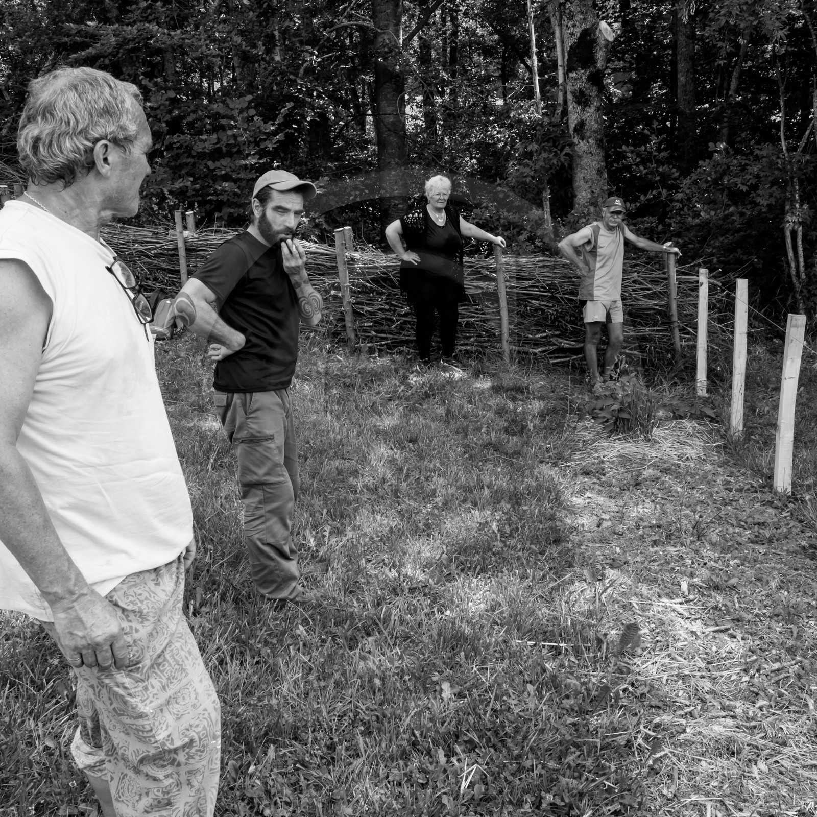 14 juin 2017 - Pose de la clôture