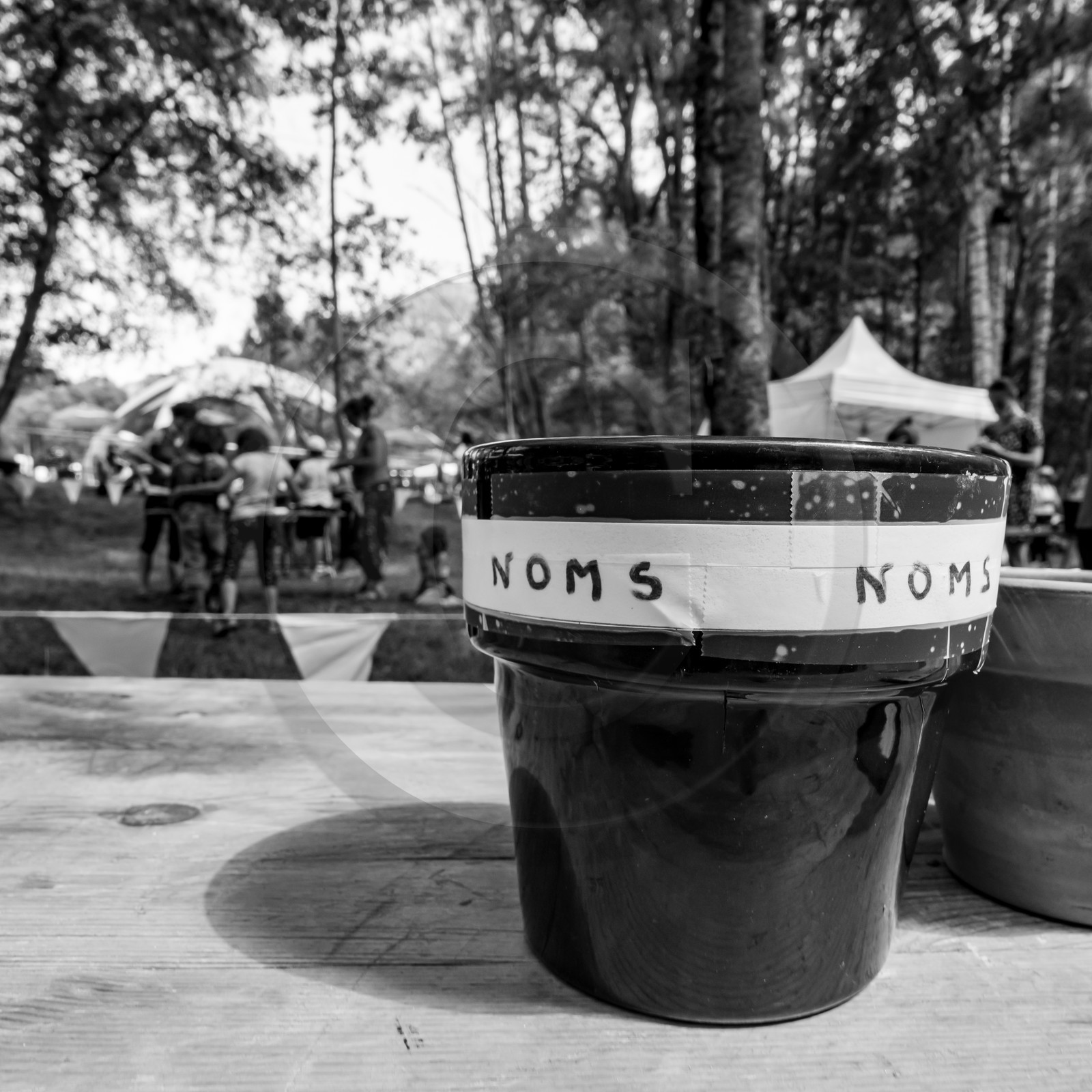 11, 12 et 13 août 2021 : L'Echo des Mots