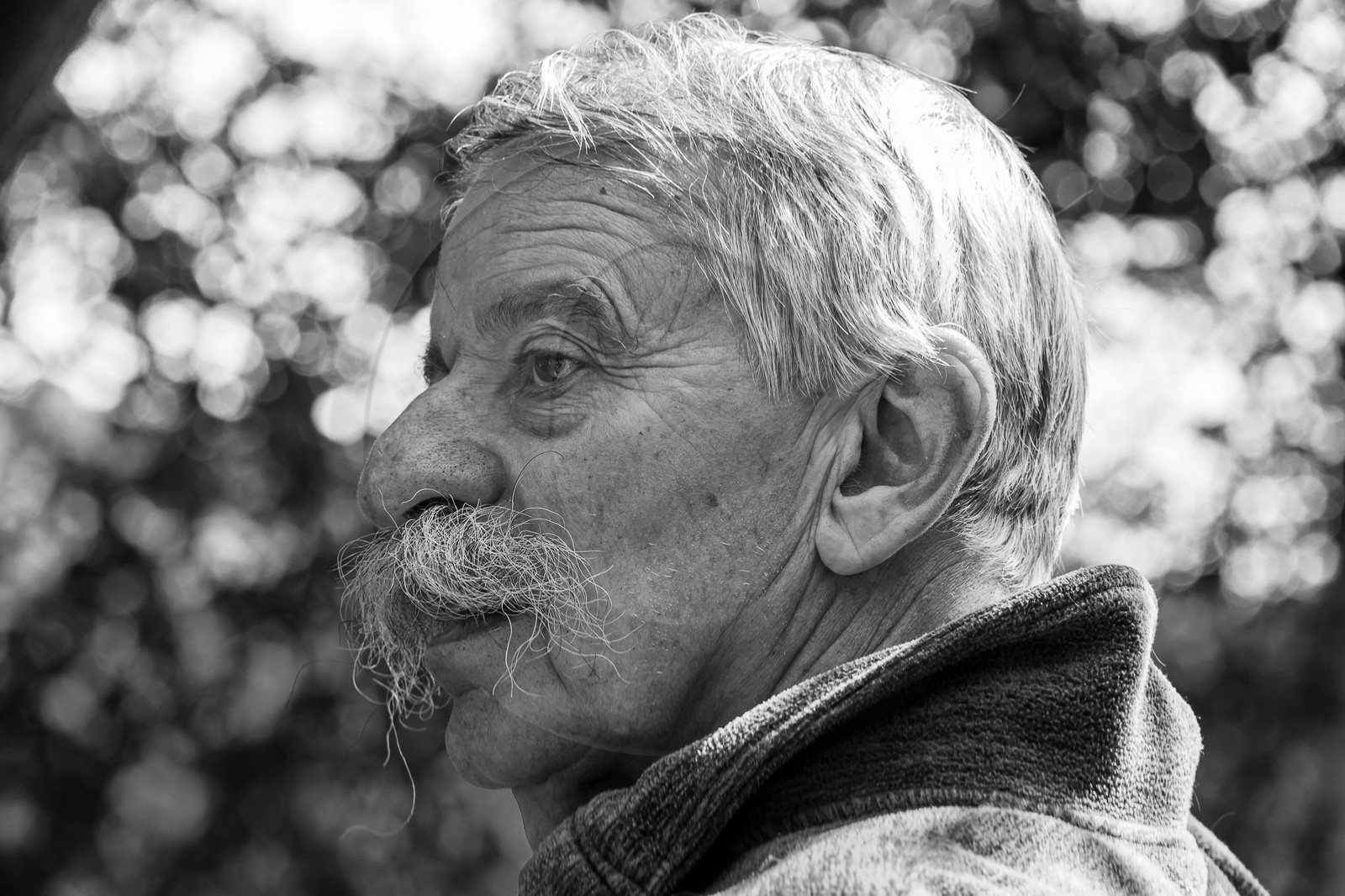 30 août 2023 : Lectures au jardin