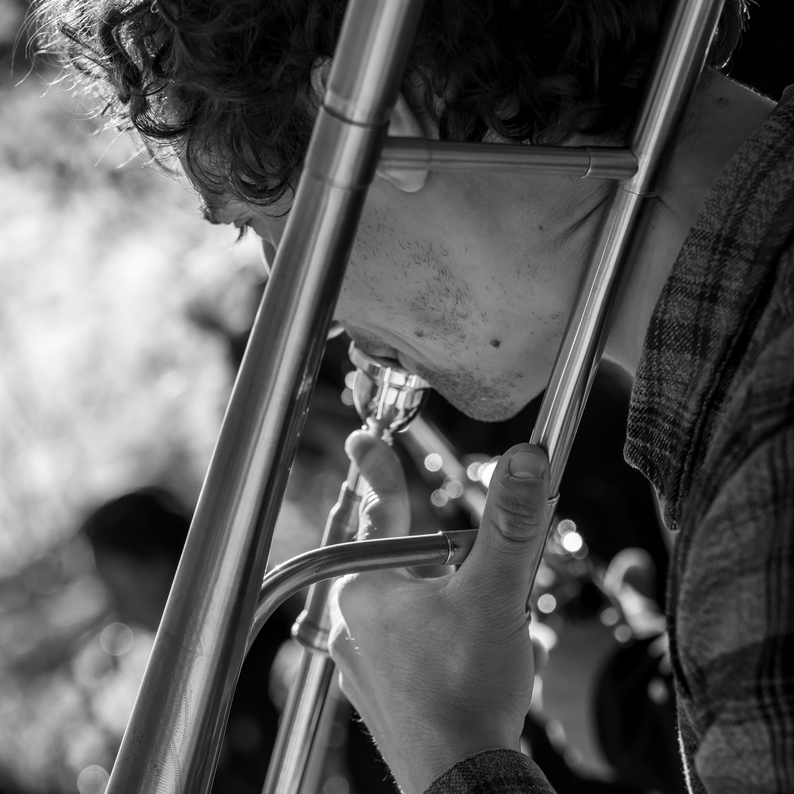 26 octobre 2025 : Les oiseaux de trottoir