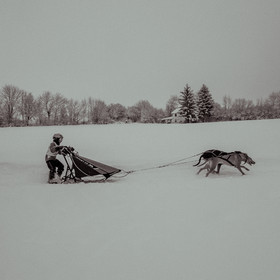 La Valgaude Traineau 2015