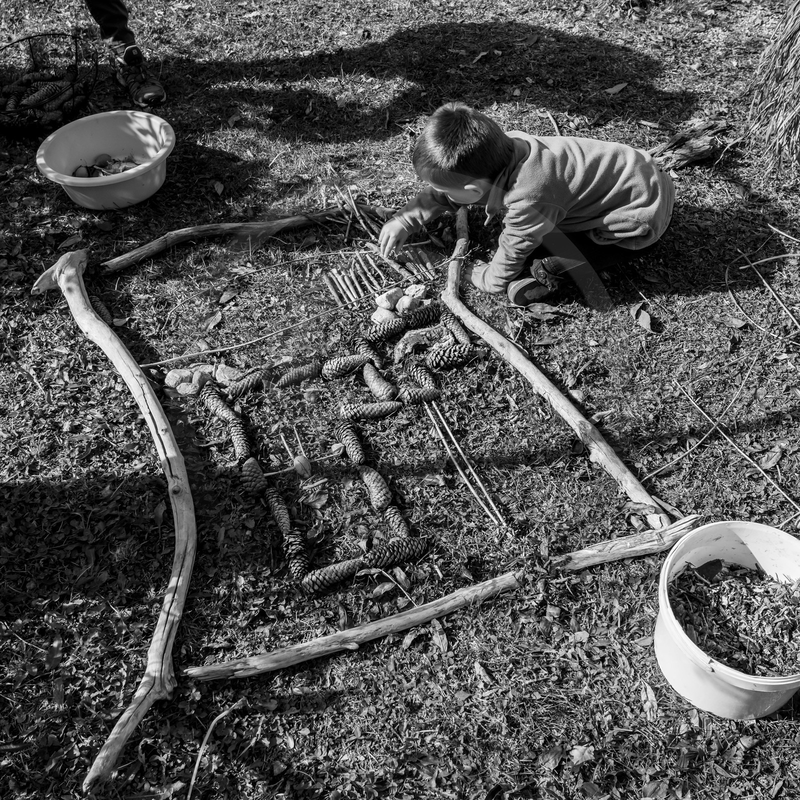 Semis, tournesols et jeux