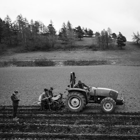 La plantation des pommes de terre