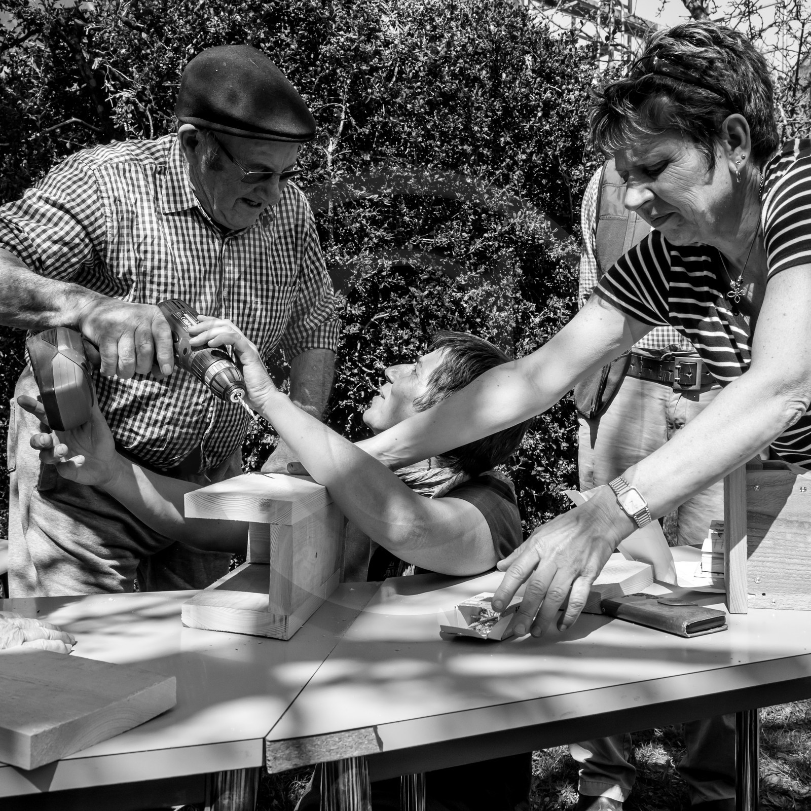 Fabrication de Nichoirs