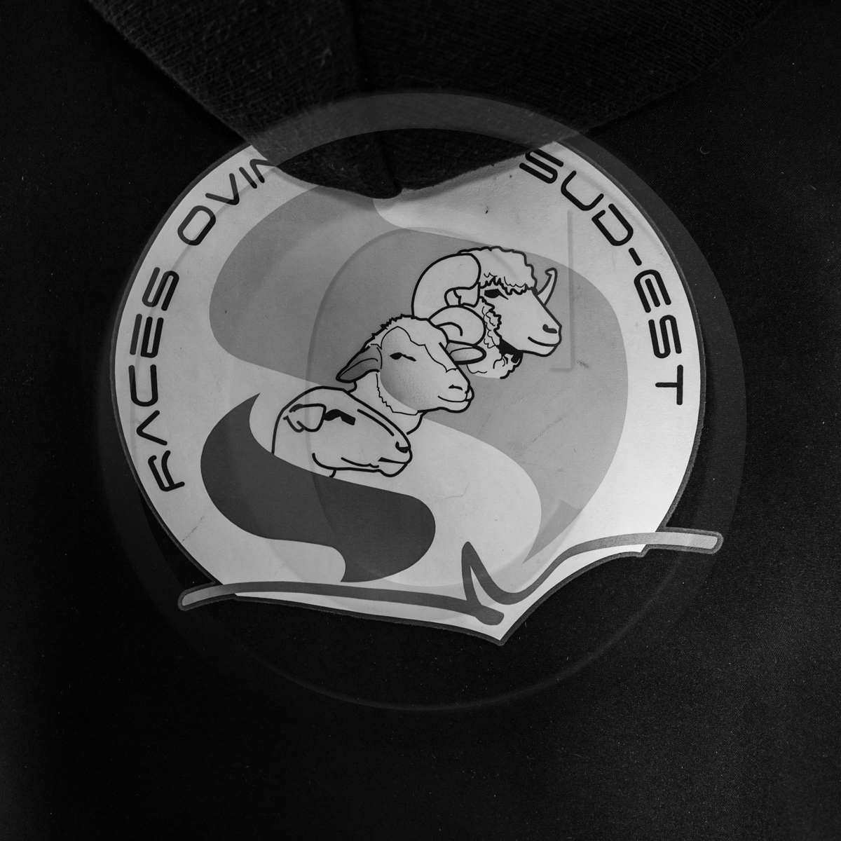 Rencontres paysannes à Saint-Bonnet en Champsaur