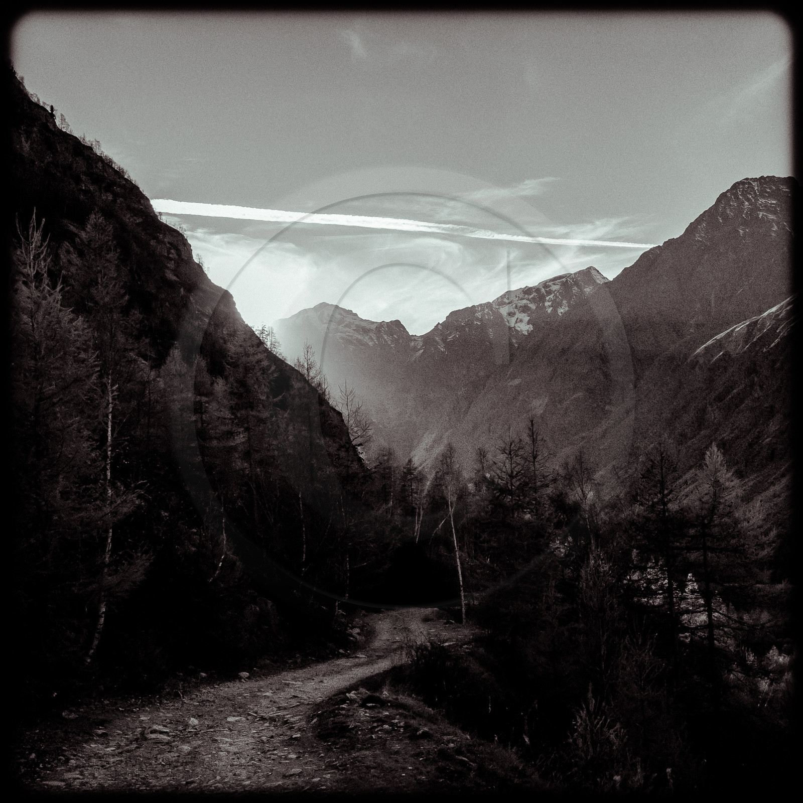 Sentier de randonnée dans la vallée de Champoléon